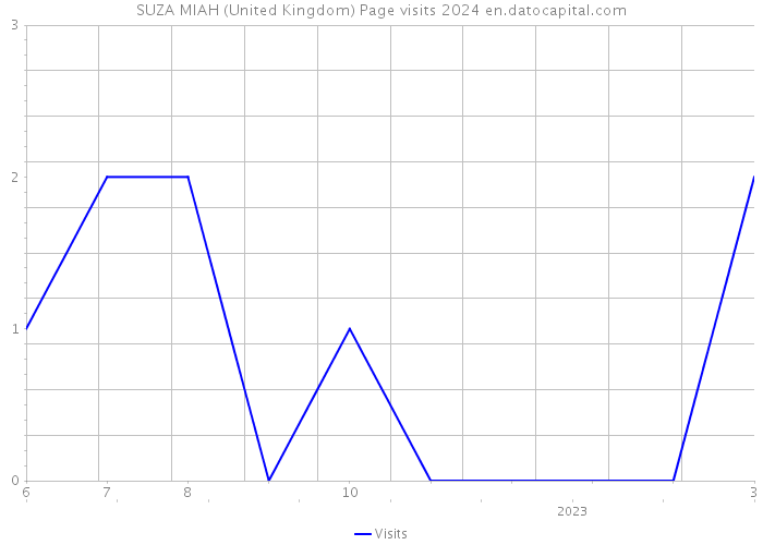 SUZA MIAH (United Kingdom) Page visits 2024 
