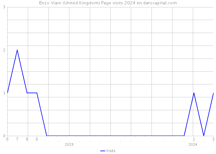 Enzo Viani (United Kingdom) Page visits 2024 