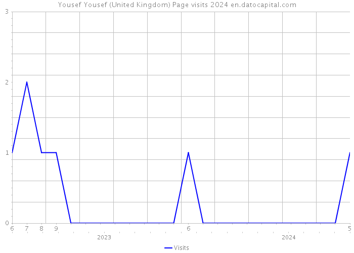 Yousef Yousef (United Kingdom) Page visits 2024 