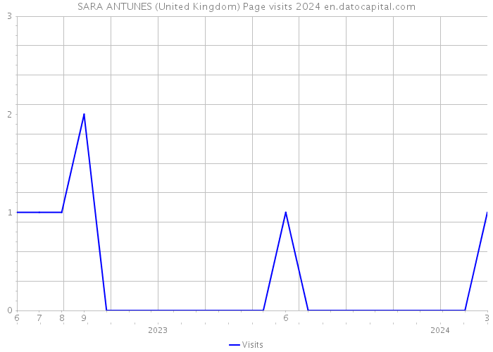 SARA ANTUNES (United Kingdom) Page visits 2024 