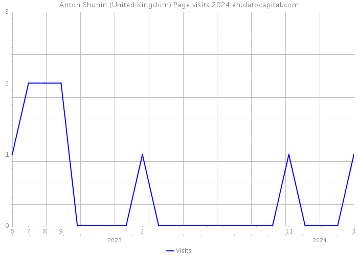 Anton Shunin (United Kingdom) Page visits 2024 