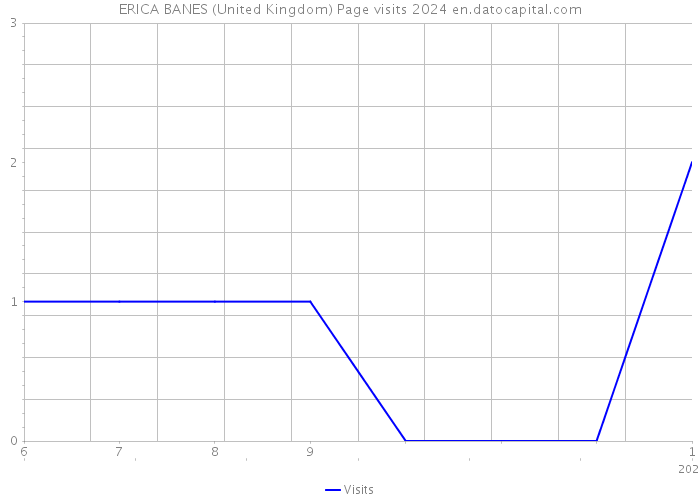 ERICA BANES (United Kingdom) Page visits 2024 