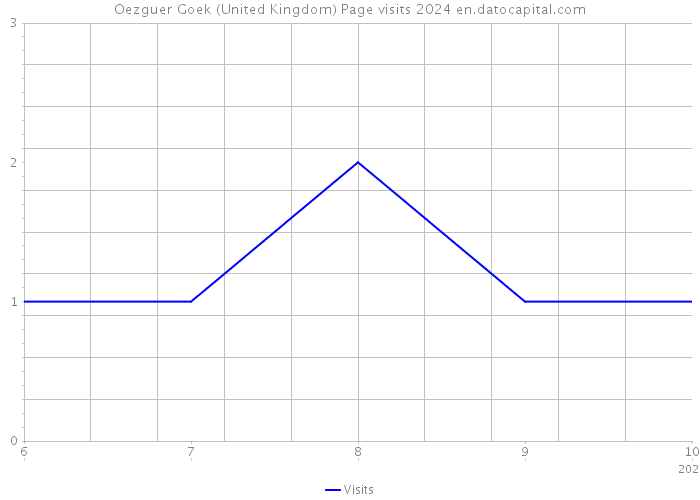 Oezguer Goek (United Kingdom) Page visits 2024 