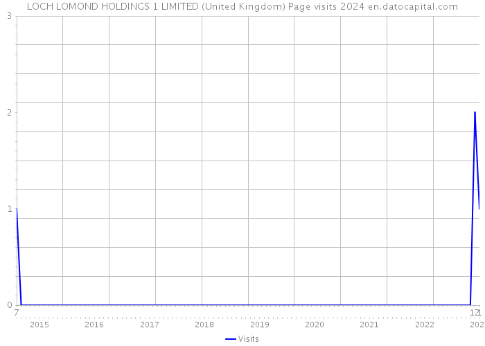 LOCH LOMOND HOLDINGS 1 LIMITED (United Kingdom) Page visits 2024 