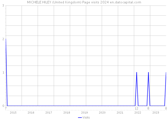 MICHELE HILEY (United Kingdom) Page visits 2024 