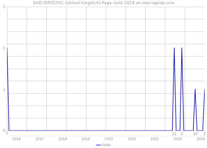 SAID IDRIZOVIC (United Kingdom) Page visits 2024 