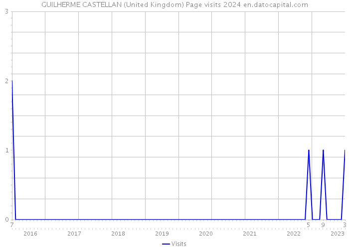 GUILHERME CASTELLAN (United Kingdom) Page visits 2024 