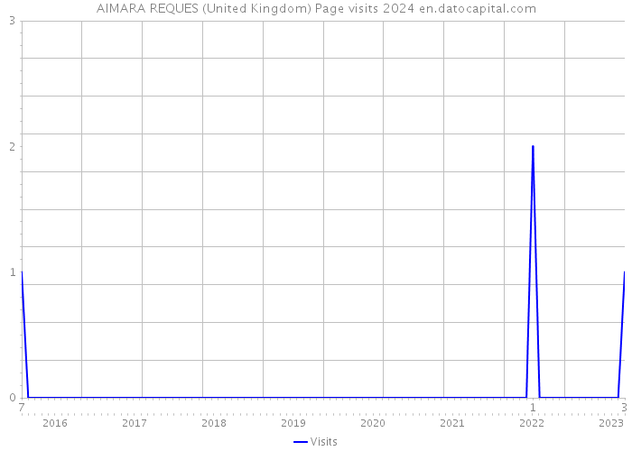 AIMARA REQUES (United Kingdom) Page visits 2024 