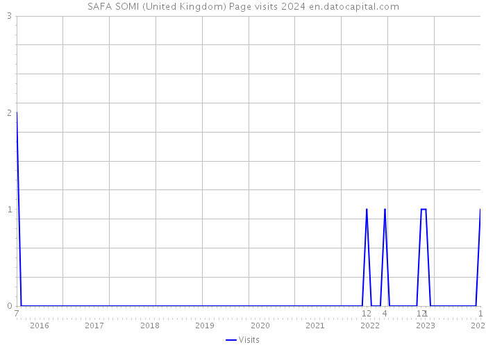 SAFA SOMI (United Kingdom) Page visits 2024 