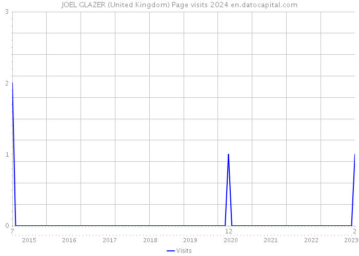 JOEL GLAZER (United Kingdom) Page visits 2024 