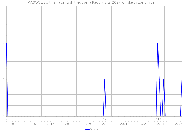 RASOOL BUKHSH (United Kingdom) Page visits 2024 