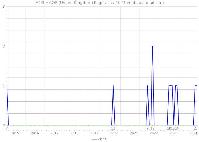 EDRI MAOR (United Kingdom) Page visits 2024 