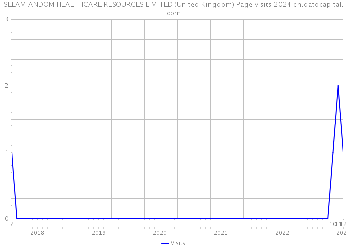 SELAM ANDOM HEALTHCARE RESOURCES LIMITED (United Kingdom) Page visits 2024 