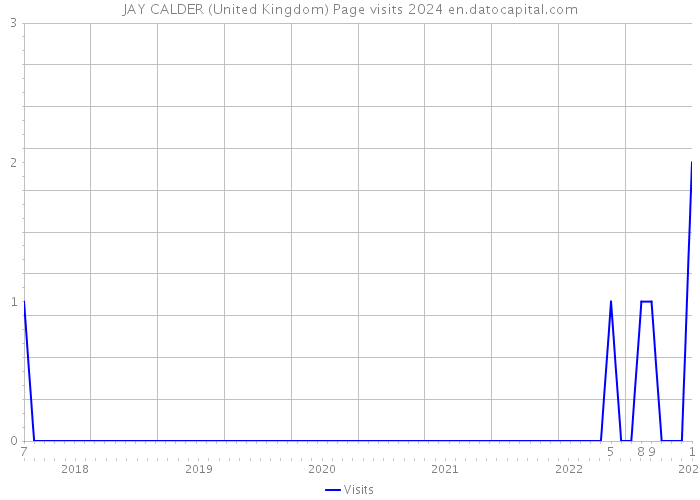 JAY CALDER (United Kingdom) Page visits 2024 