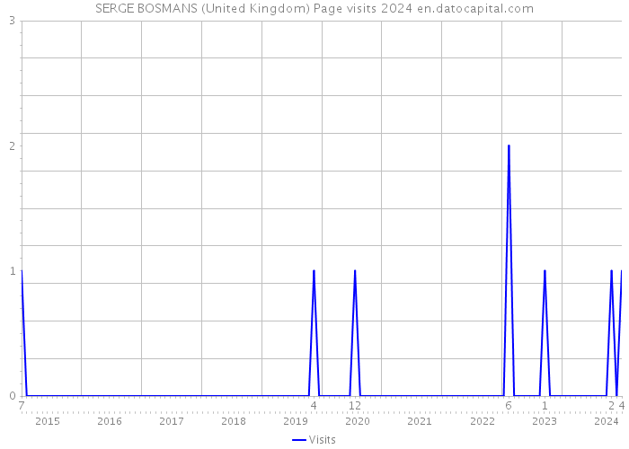 SERGE BOSMANS (United Kingdom) Page visits 2024 
