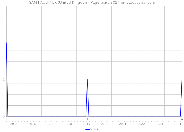 SAM FAULKNER (United Kingdom) Page visits 2024 