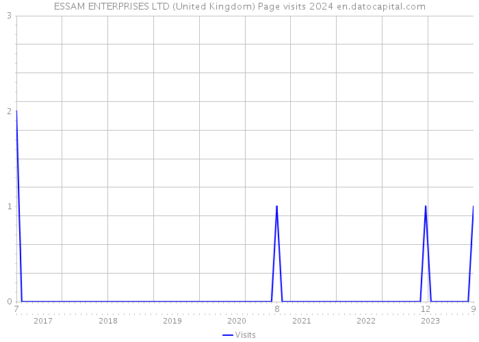 ESSAM ENTERPRISES LTD (United Kingdom) Page visits 2024 