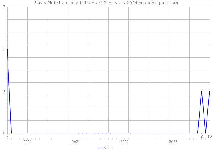 Flavio Pinheiro (United Kingdom) Page visits 2024 