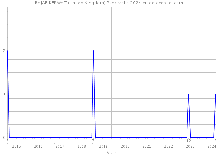 RAJAB KERWAT (United Kingdom) Page visits 2024 