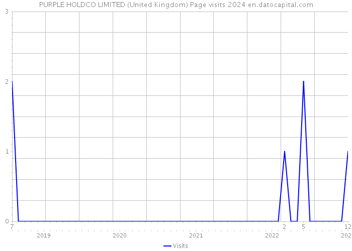 PURPLE HOLDCO LIMITED (United Kingdom) Page visits 2024 