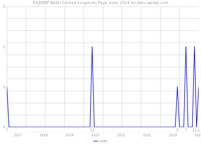 RAJDEEP BASU (United Kingdom) Page visits 2024 