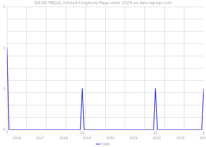 DAVID MELUL (United Kingdom) Page visits 2024 