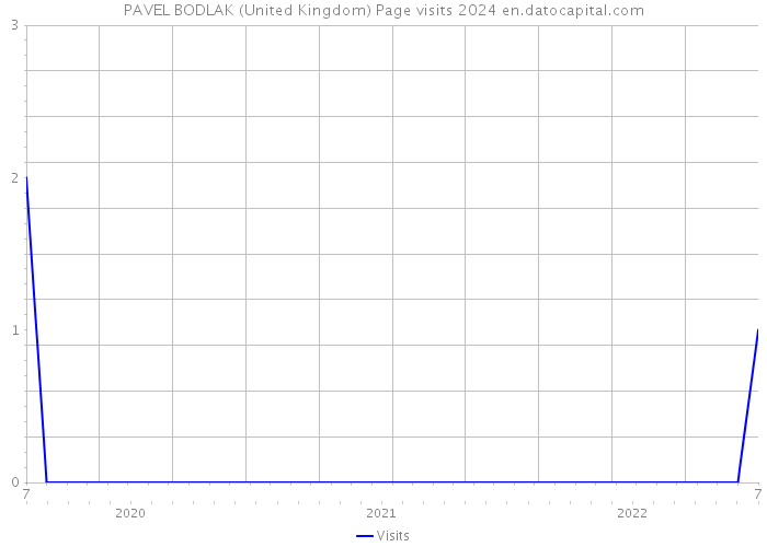 PAVEL BODLAK (United Kingdom) Page visits 2024 