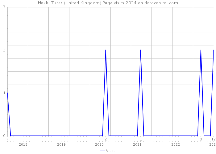 Hakki Turer (United Kingdom) Page visits 2024 