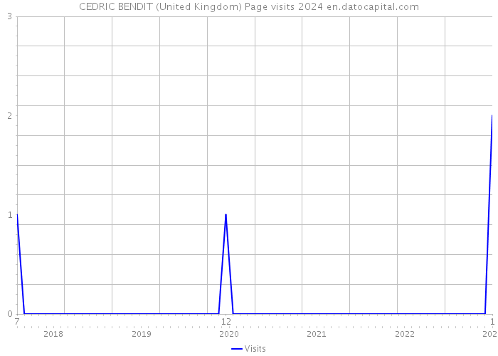 CEDRIC BENDIT (United Kingdom) Page visits 2024 