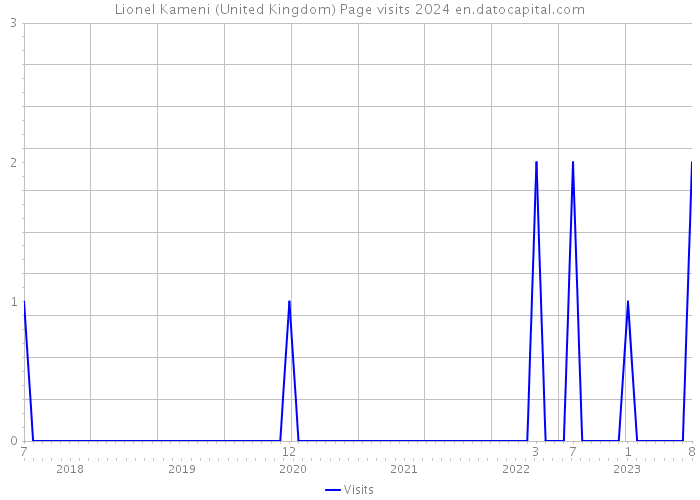 Lionel Kameni (United Kingdom) Page visits 2024 