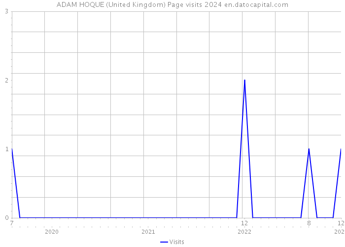 ADAM HOQUE (United Kingdom) Page visits 2024 
