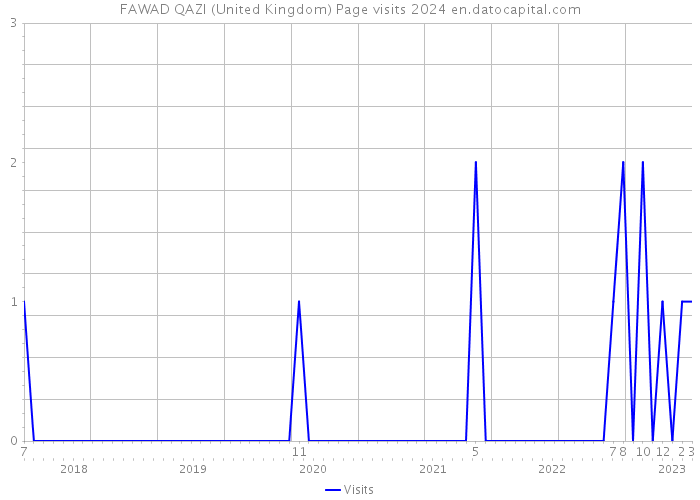 FAWAD QAZI (United Kingdom) Page visits 2024 
