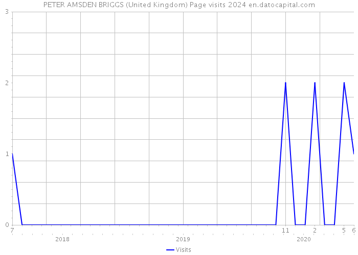 PETER AMSDEN BRIGGS (United Kingdom) Page visits 2024 