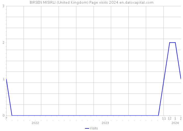 BIRSEN MISIRLI (United Kingdom) Page visits 2024 
