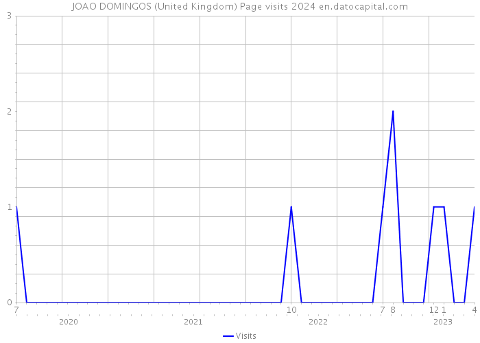 JOAO DOMINGOS (United Kingdom) Page visits 2024 