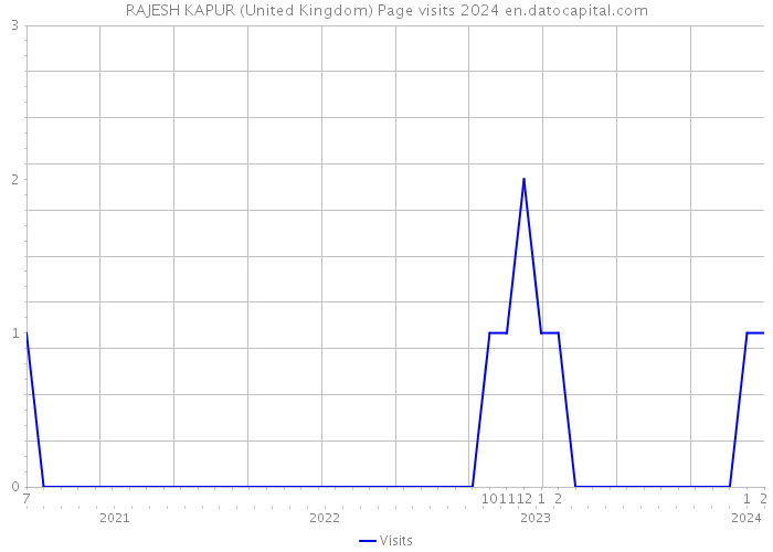 RAJESH KAPUR (United Kingdom) Page visits 2024 