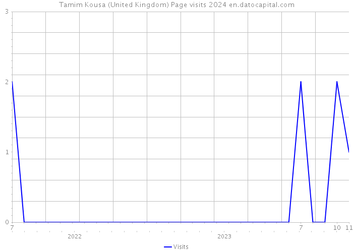 Tamim Kousa (United Kingdom) Page visits 2024 