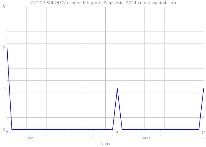 VICTOR SOKOLOV (United Kingdom) Page visits 2024 