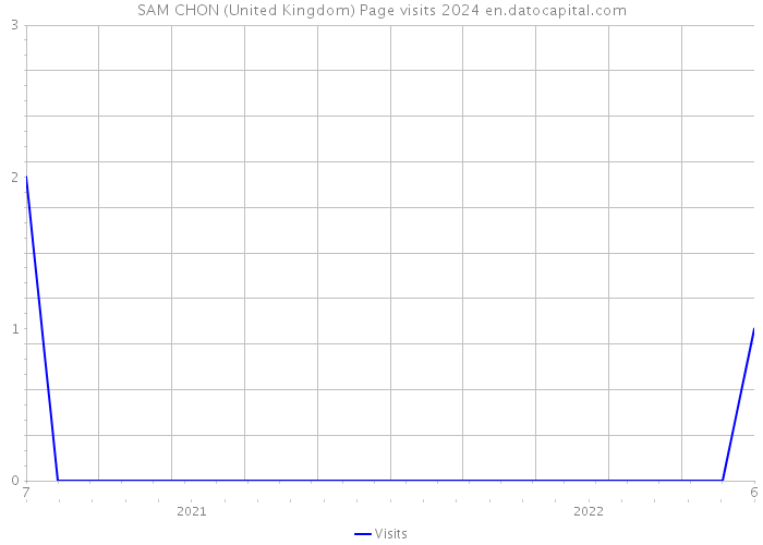 SAM CHON (United Kingdom) Page visits 2024 