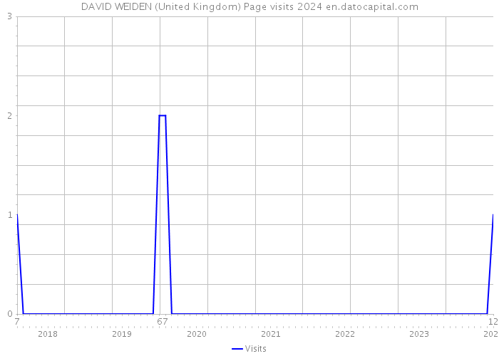 DAVID WEIDEN (United Kingdom) Page visits 2024 