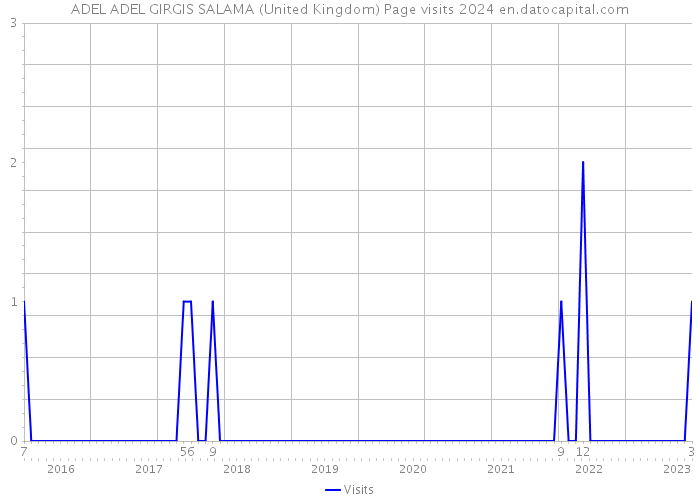 ADEL ADEL GIRGIS SALAMA (United Kingdom) Page visits 2024 