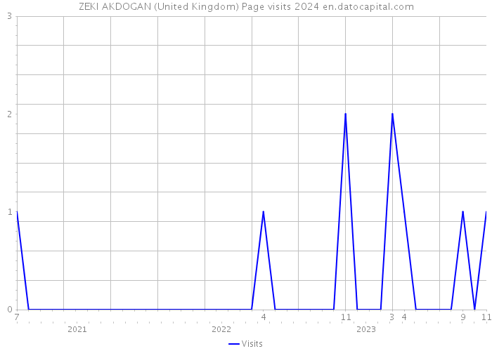 ZEKI AKDOGAN (United Kingdom) Page visits 2024 
