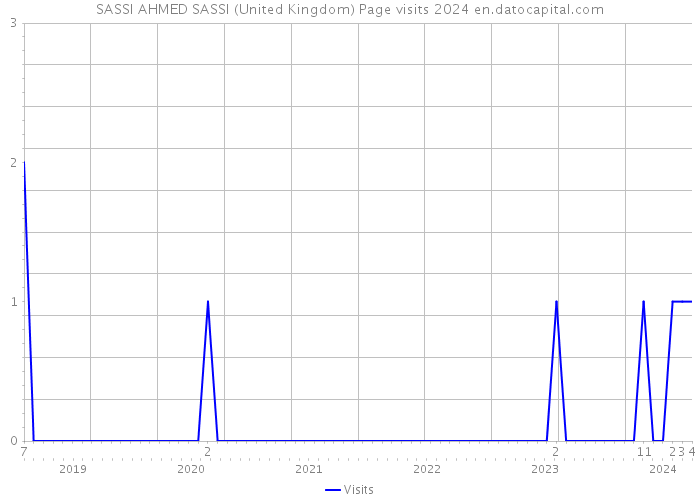 SASSI AHMED SASSI (United Kingdom) Page visits 2024 