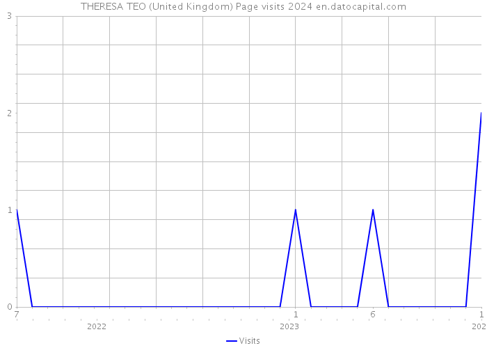 THERESA TEO (United Kingdom) Page visits 2024 