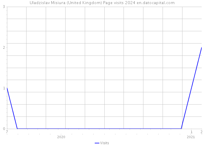 Uladzislav Misiura (United Kingdom) Page visits 2024 