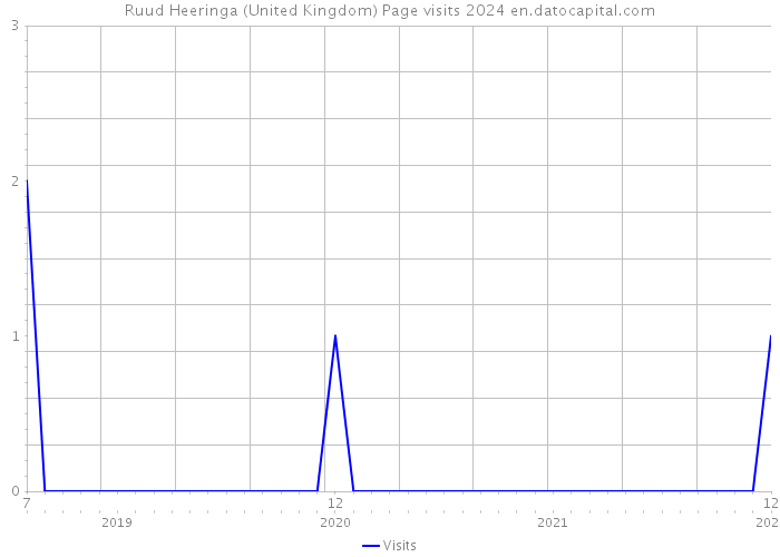Ruud Heeringa (United Kingdom) Page visits 2024 