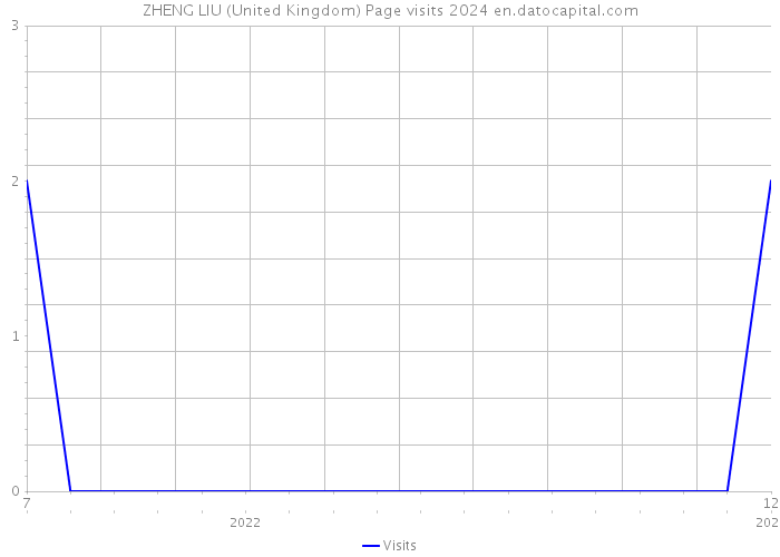 ZHENG LIU (United Kingdom) Page visits 2024 