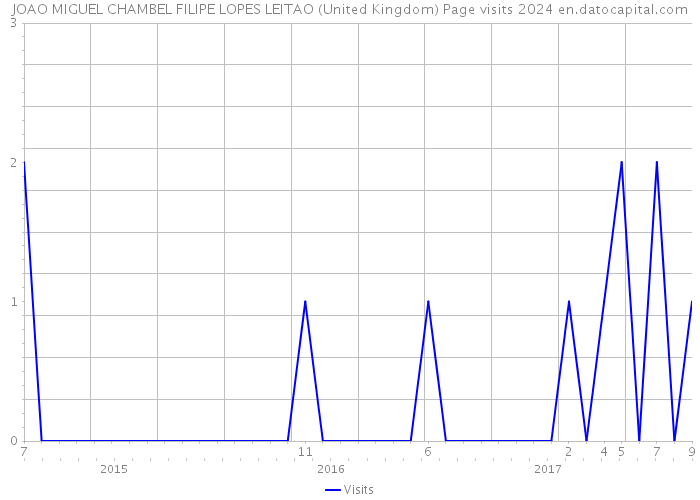 JOAO MIGUEL CHAMBEL FILIPE LOPES LEITAO (United Kingdom) Page visits 2024 