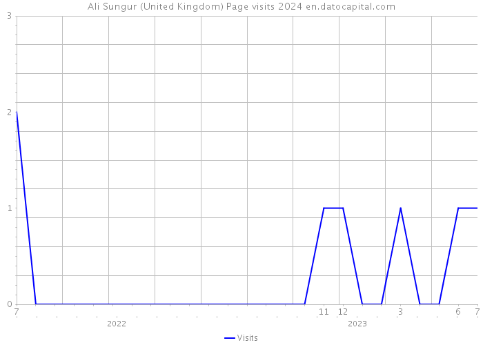 Ali Sungur (United Kingdom) Page visits 2024 