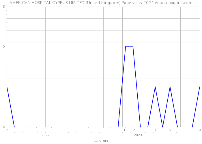 AMERICAN HOSPITAL CYPRUS LIMITED (United Kingdom) Page visits 2024 
